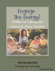 alt="booklet cover with sage green back ground. the foreground is a picture of a teacher with students in a circle outside learning, and the caption reads, 'engage the energy, 5 pillars of classroom management checklist'