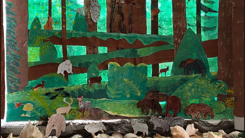 Elementary classroom in February showcasing student-led environmental projects and calm, structured learning